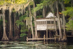 Small abandoned house over the swamp at Caddo Lake near Uncertain, Texas