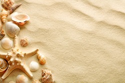 top view of sandy background with dunes and seashells
