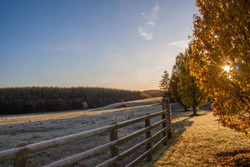 Frosty Frozen field with Autumn tree and sunshine