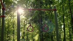 View of sports gymnastic rings in park in summer at sunset or dawn. sports equipment in summer forest, sun shines directly into camera creating cool reflections and flare.