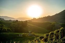 Beautiful landscape of hills with vineyards, green rural environment in the countryside of Italy. Valdobbiadene Prosecco area, vines emotional pictures, with rural farm houses.