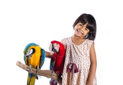 Child and Parrot On White Background