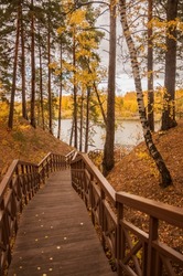 Old wooden bridge with stairs in autumn forest. Staircase in the wood. Footbridge in park. Adventure and explore concept
