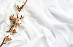 Cotton branch of plant flower on crumpled cotton white fabric. Cotton bed linen. Minimalistic cozy light background.