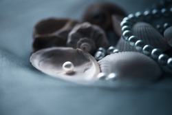 A beautiful white pearl in the clam. And still a shell with a string of pearls. Selective focus in the white pearl