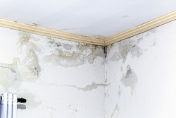 wall damp from excessive rain, problems of infiltration and mold on the wall of the house