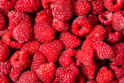 Raspberries background. Fresh red berries of ripe raspberries