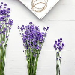 Lavender flowers and tray on white wooden table, flat lay. Bouquets of natural provence lavender herb plant, top view