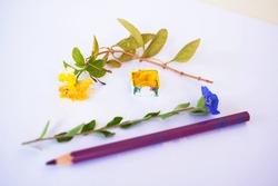 Complimentary colors in art with floral examples.