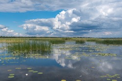 Lake Lubans, the biggest lake in Latvia. Shallow drainage lake, fed by the Rēzekne, Malta, Malmuta and Lisinja rivers and several smaller brooks, ponds, reeds, white water lilies, with reflections
