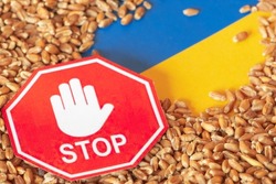 Wheat grains on the yellow and blue flag of Ukraine with a stop sign, Ukrainian grain crisis, global hunger crisis concept due to war, Food and Agriculture Organization