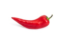Pod of red chili pepper on a green stalk, a spicy seasoning for oriental dishes, isolated on a white background