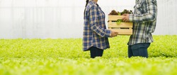 Farmer harvest farm products and fresh vegetables in hydroponic organic farm for food supply chain and delivery to customer hand agriculture concept