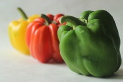 Red yellow and green bell peppers. Bell pepper or Capsicum annuum, also called sweet pepper or capsicum. Bell peppers are used in salads and in cooked dishes and are high in vitamin A and vitamin C