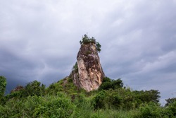 rock hill in forest on nature mountain .