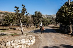 peasant woman riding a donkey, water wells and fig trees