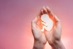 White paper embryo silhouette in woman hands on the right side. Pink and violet background. Pregnancy, contraceptive and abortion.
