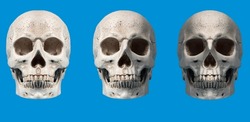 Three Skull set with difrent lights on blue background. This is photo make for photomontage and photomanipulation.