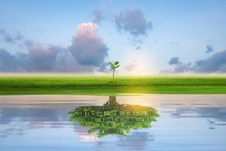 Small green island with lonely tree reflection in quiet water of the ocean. Financial business Concept.
