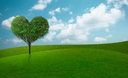 Green grass on slope with heart shape green tree under blue sky. Beauty nature. Good environment.
