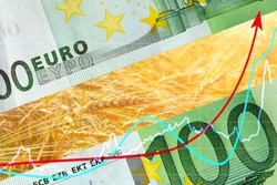 Increase in the price of wheat. An ascending arrow on the background of 100 euro banknotes and a wheat field. The concept of the world food crisis, shortage of grain crops