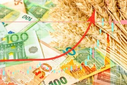 An ascending arrow on the background of ripe ears of wheat on 100 and 50 euro bills. Increase in the cost of wheat, bread, food. The global wheat, grain, and food crisis.