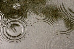 circles on the water after the rain,copy space
