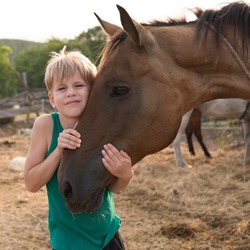 The child hugs the horse with tenderness. Love and friendship with your pet. A girl or boy hugged the bay horse tightly by the head. Warm summer picture