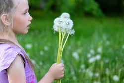 Cute little caucasian girl is blowing on dandelion flowers in summer park, dandelion seeds are flying, allergy free concept