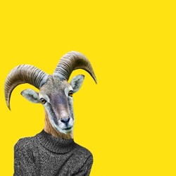 Abstract art collage. Big horn sheep on humans body, Ram head clip art.