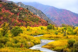 Red and orange maples in full color create a background for the Diamond Fork River in Spanish Fork Canyon, UT. The golden grasses border the meandering stream.