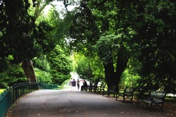 Trees and benches in park at Belfast city, Northern Ireland