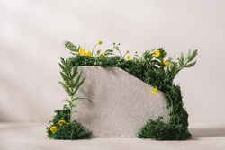 Concrete podium surrounded by moss and green plants for branding. Textured stones on beige background for the presentation of eco, organic, natural cosmetics