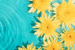 Yellow chrysanthemum flowers on blue water background with water bubbles. Top view, copy space