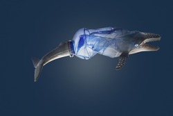 Creative concept background by photo of whale ( toy model) and transparent plastic bottles.Environmentalism and 
 plastic awareness,with clipping  path.