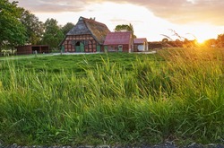 scenic sunset behind long fresh grass next to a traditional rural house in the district Wesermarsch (Germany) during summer