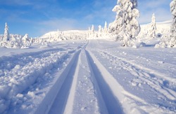 Norefjell / Norway: Dreamlike cross-country ski trail in January