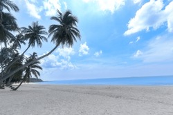 Coconut palm trees on beautiful white sandy beach and cloudy blue sky, nice sea view tropical landscape summer beach, relaxation holiday vacation at paradise island.
