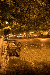 Night view on empty bench in downtown during the pandemic or covid-19 situation. Autumn leaves on the ground.