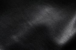 Skin texture. Painted in black leather