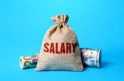 A Salary money bag. Remuneration and wages. Population income statistics, living standards and prosperity. Attractive lucrative professions. Promotion, career growth. Premiums and allowances, bonuses.