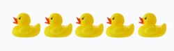 Five yellow plastic ducks in a row with clipping path