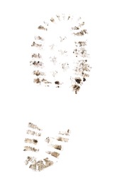 Imprint of dirty shoes isolated on a white background.