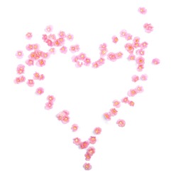Small pink flowers in love shape