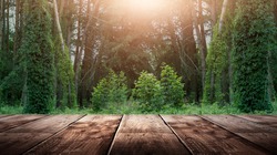 Wooden table in the woods, sleepy light. Empty wooden table top on nature background.