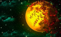 Night sky is romantic, with a large orange moon and Red leaf, floating beautifully, looking like one of the fairy tale scenes.