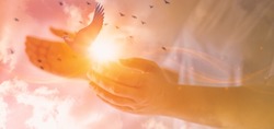 Woman praying with free bird,glittering light shine through hand women,who raise hands,to pray for God blessing,light and sunset background mind sanctification,concept pure spirit and spirituality
