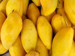 Top view of fresh yellow mango as a background in the market at Thailand (Mangifera indica), Tropical fruit