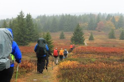 Fall hiking in Dolly Sods Wilderness, West Virginia.