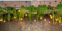 landscaping of the ceiling in the office and at home. modern interior with green ceiling, overgrown plants.